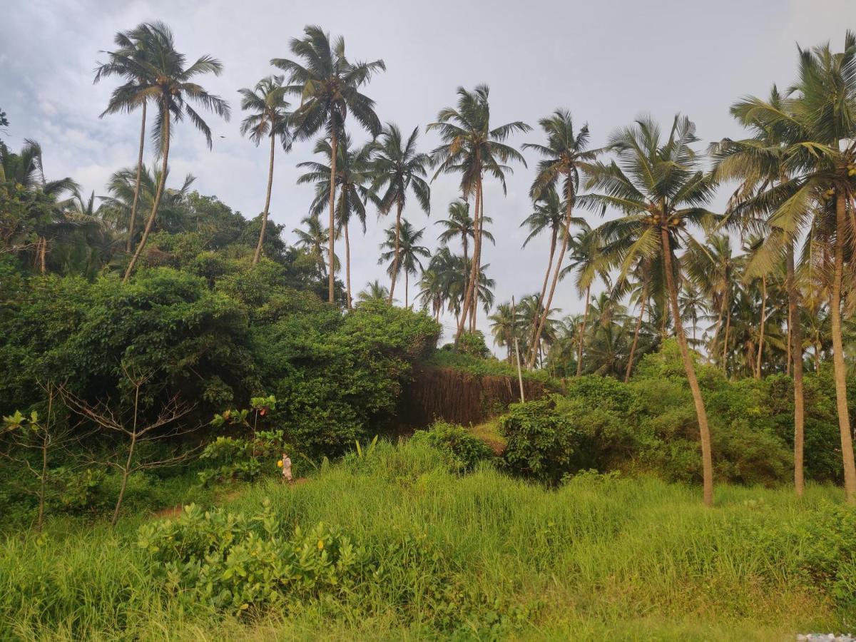 Sunshine Service Villa Kannur Extérieur photo